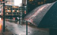 开云体育中国-南美飓风席卷东欧铁骑，厄瓜多尔战术革命与内马尔式的救赎，重塑2026世界杯D组格局
