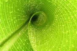 开云体育-童话再现，丹麦剑客戈麦斯一剑封喉，绝境斩蓝月