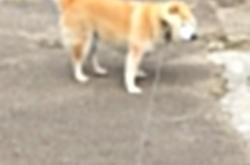 开云体育app-当瑞士铁骑踏平梦剧场，荷兰尖刀阿克的封神之夜