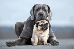 开云体育登录-冷静的天才与燃烧的战场，京多安如何以一记反教科书表演，定义了史诗般的争冠之夜