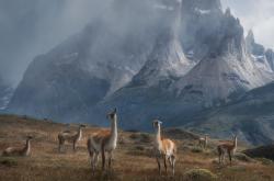 开云体育app-欧冠唯一性战役，加纳天才两连击撕裂米兰，拉什福德87分钟化身关键先生