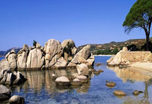 开云体育入口-铁骑碾过蔚蓝海岸，当波兰的钢铁意志点燃马赛的足球烈焰