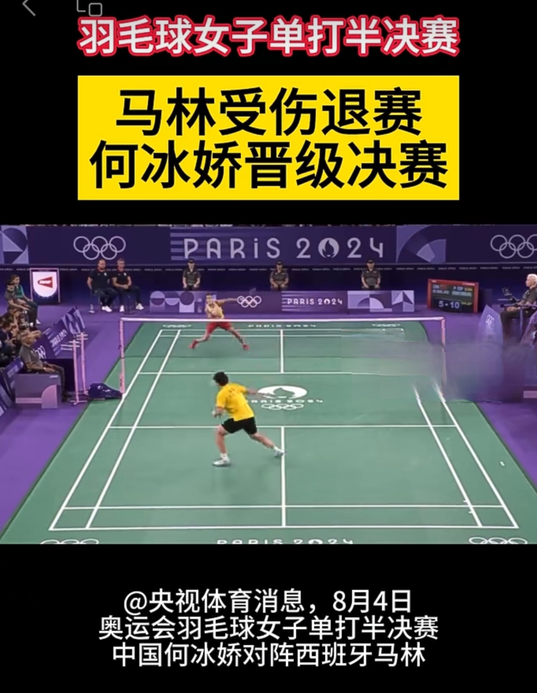 法国羽毛球队横扫中国羽毛球队，马琳送出助攻