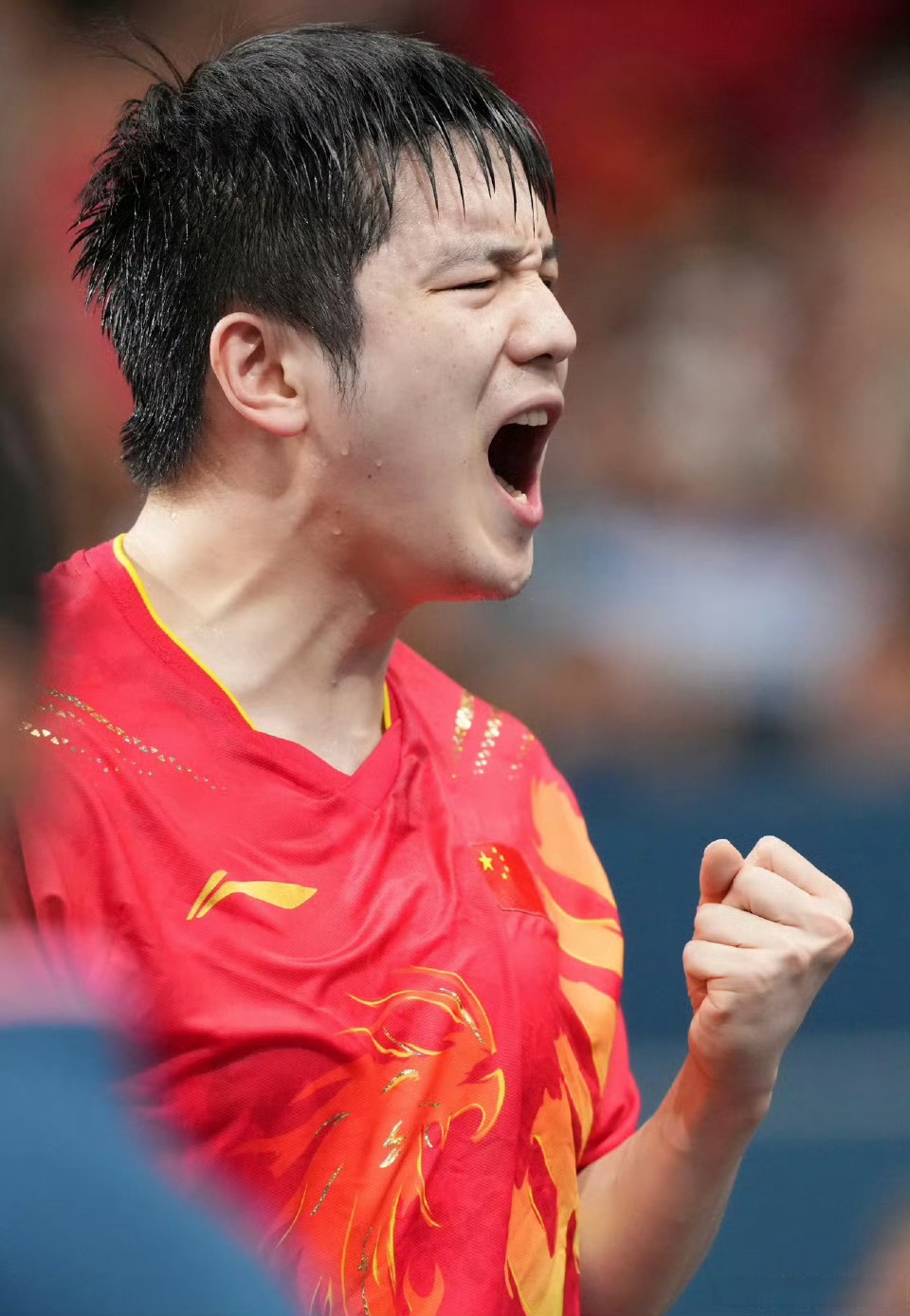 中国乒乓球队血洗奥地利乒乓球队，樊振东爆发神勇的简单介绍