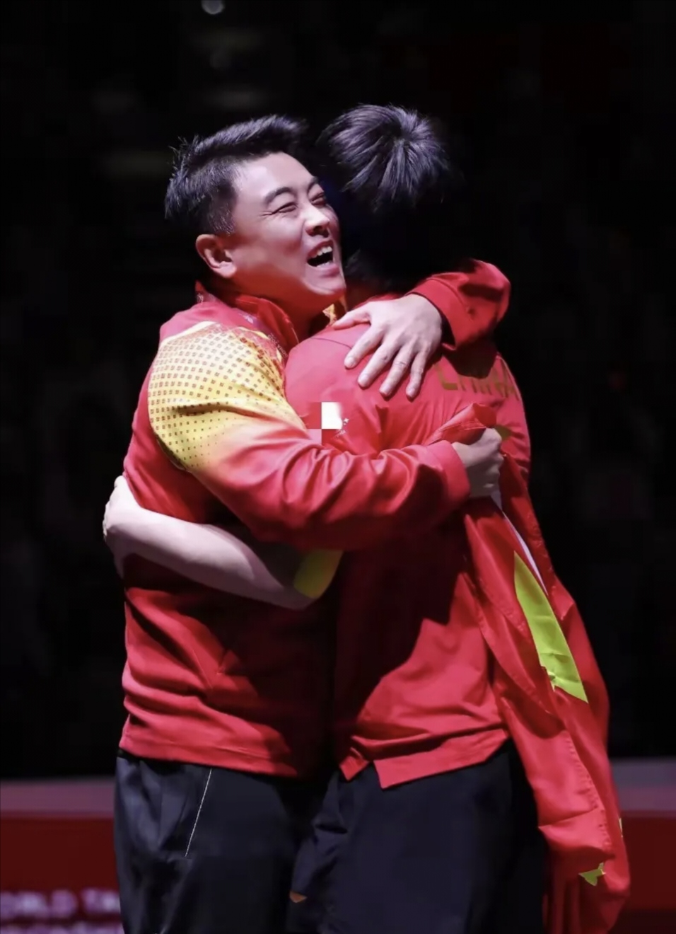 中国队轻取德国队，王皓惊艳四座