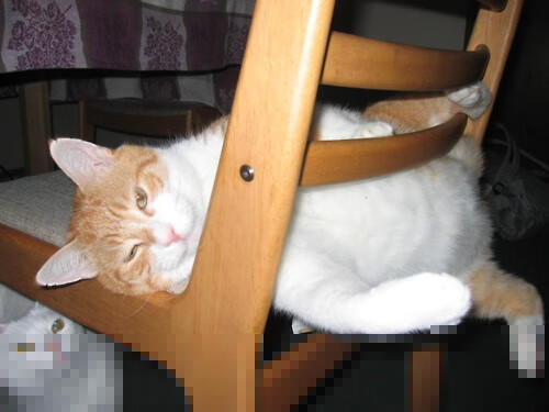 双线告捷背后，是韧性的胜利