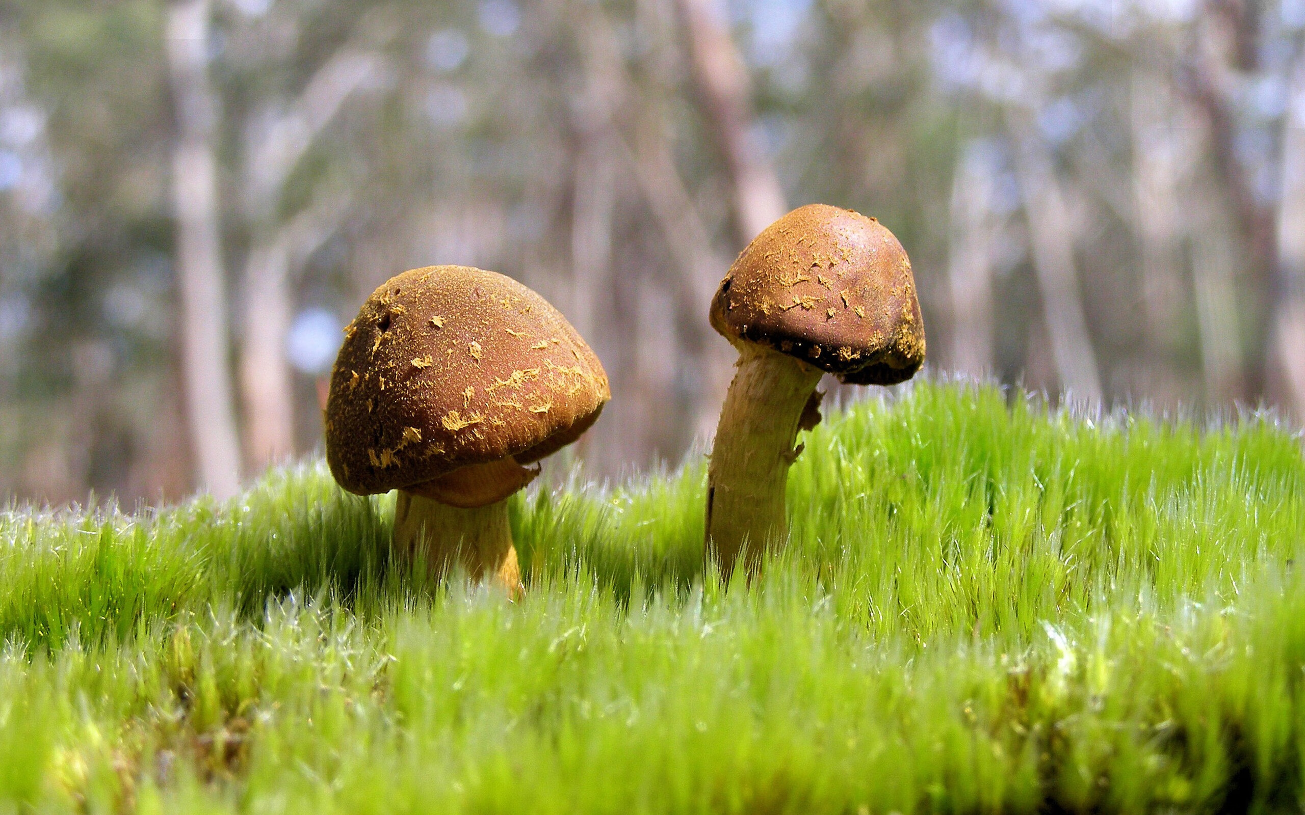 坚冰与烈阳，本泽马如何成为破局者，定义足球的另一种解法