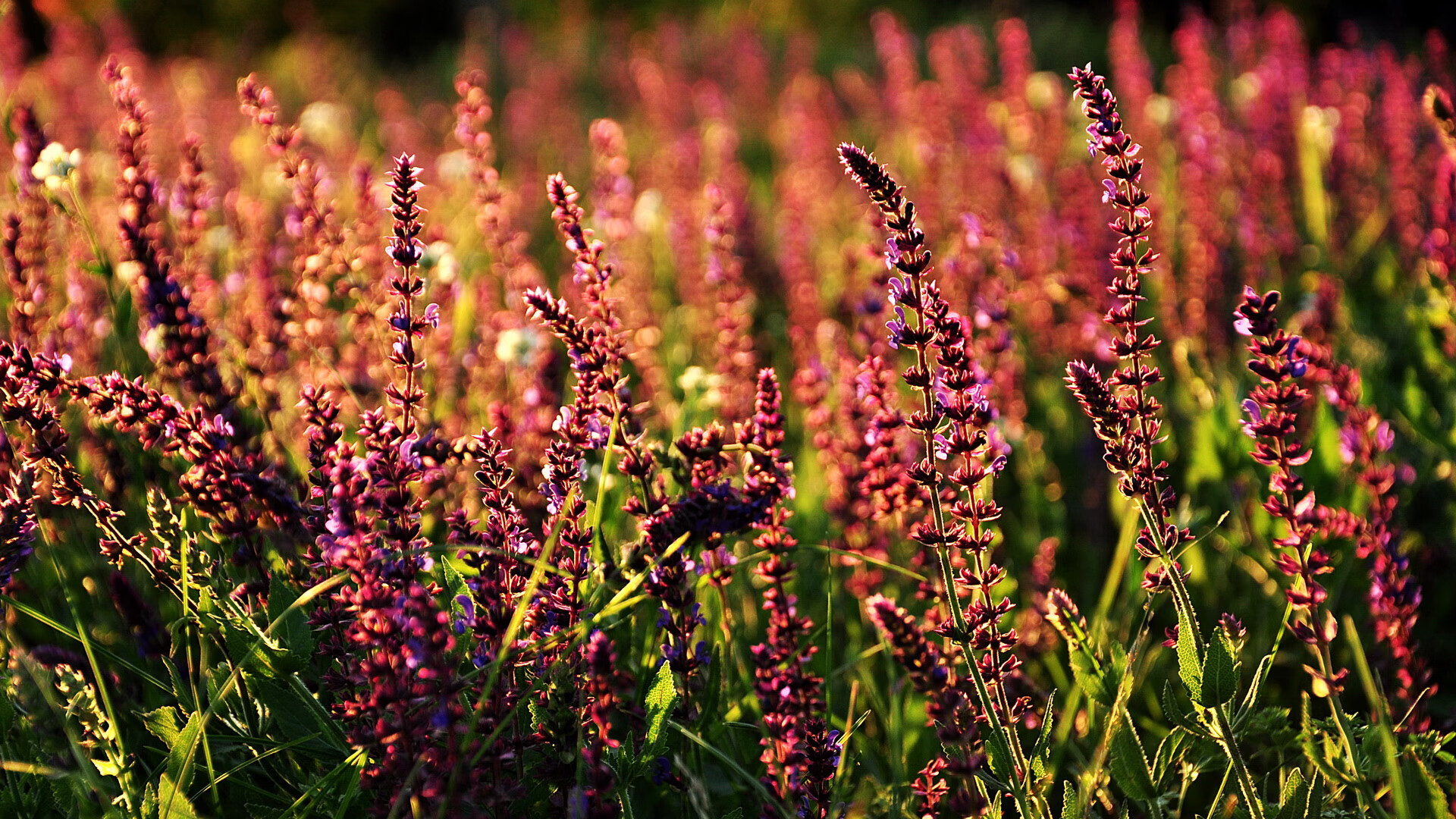 亚洲风暴与非洲冰川，李刚仁的救赎之夜与几内亚的末节奇迹