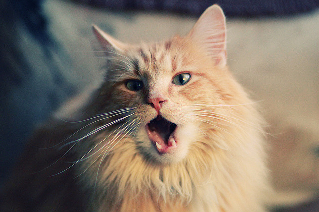 新王践祚,锡安轰塌洛杉矶王座,野蛮美学碾压时代逻辑