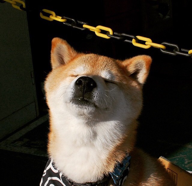 新王践祚,锡安轰塌洛杉矶王座,野蛮美学碾压时代逻辑