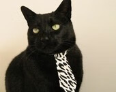 当尼斯的海风记住，唯一一座见证2024梅西终极版本的城市