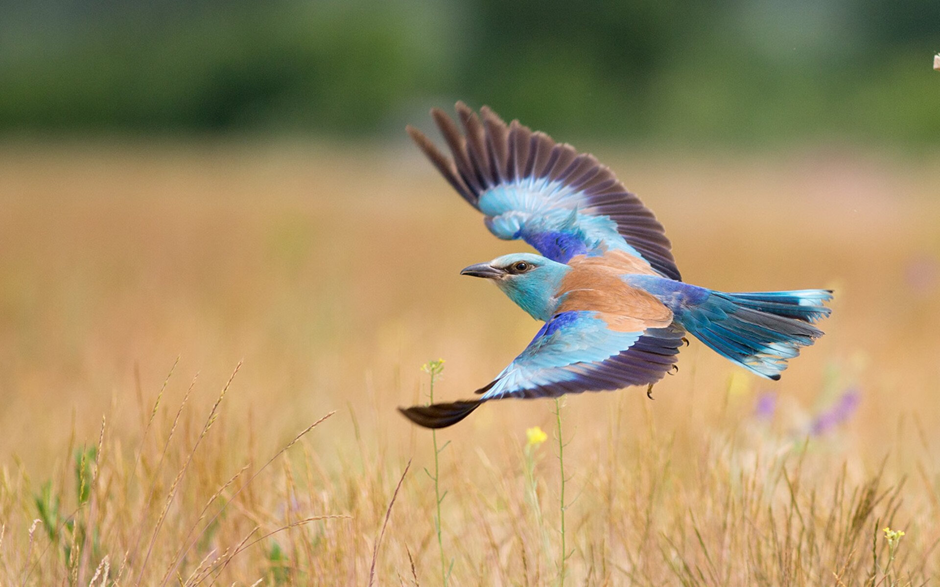 黄金三秒与命运弧线,浙江队十年不遇的冷门,如何用一场年度焦点之战重写剧本