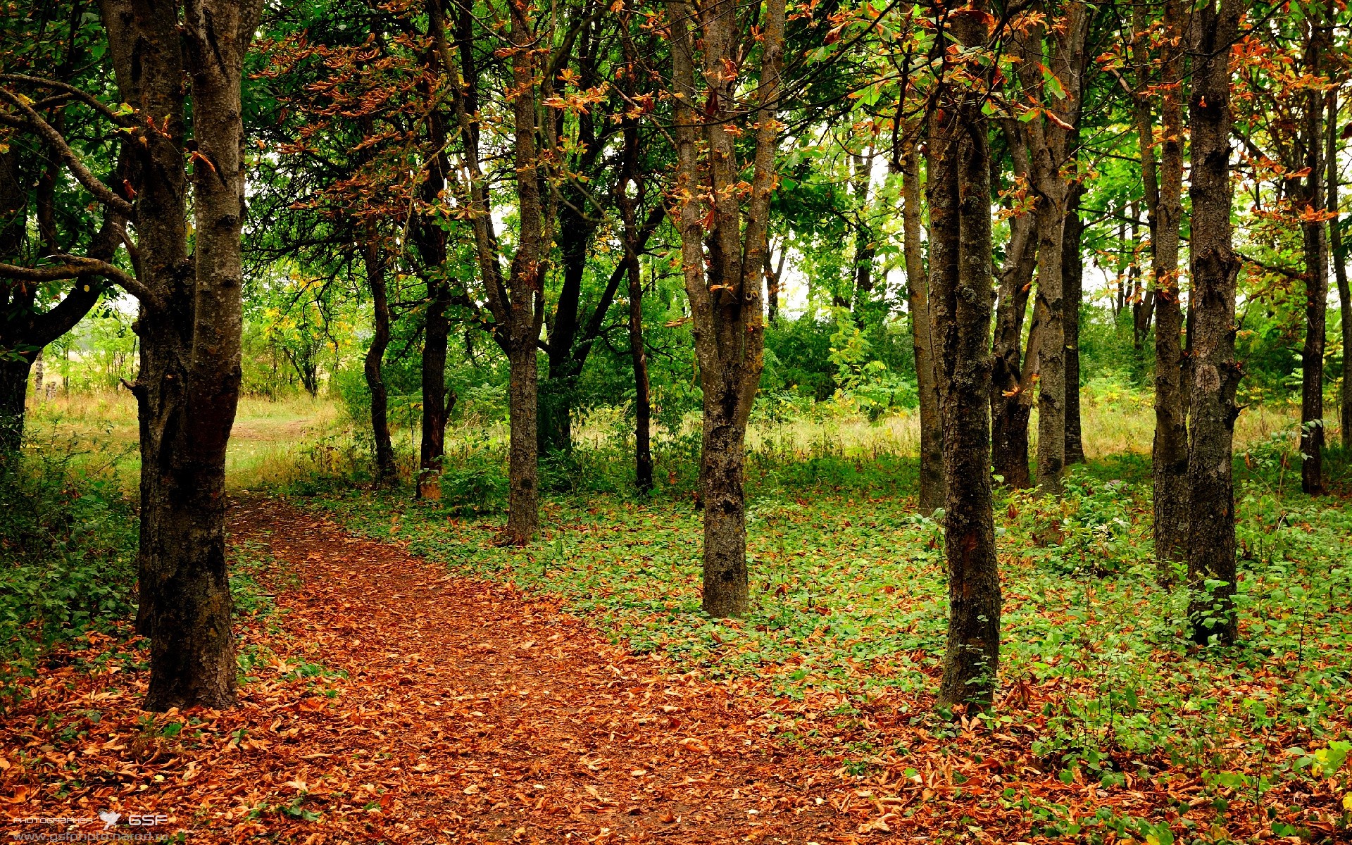 凌晨之王！切尔西季前骑士出鞘，特奥单刀赴会刺穿爱尔兰防线