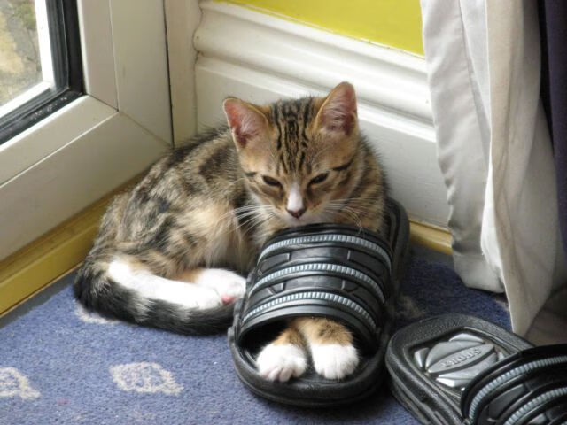 德罗赞，一柄刺穿费城心脏的战矛，公牛冲垮76人完美诠释何为冠军级表现