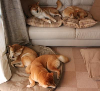 唯一性之夜,当利物浦的法老在西决生死战写下篮球式传奇