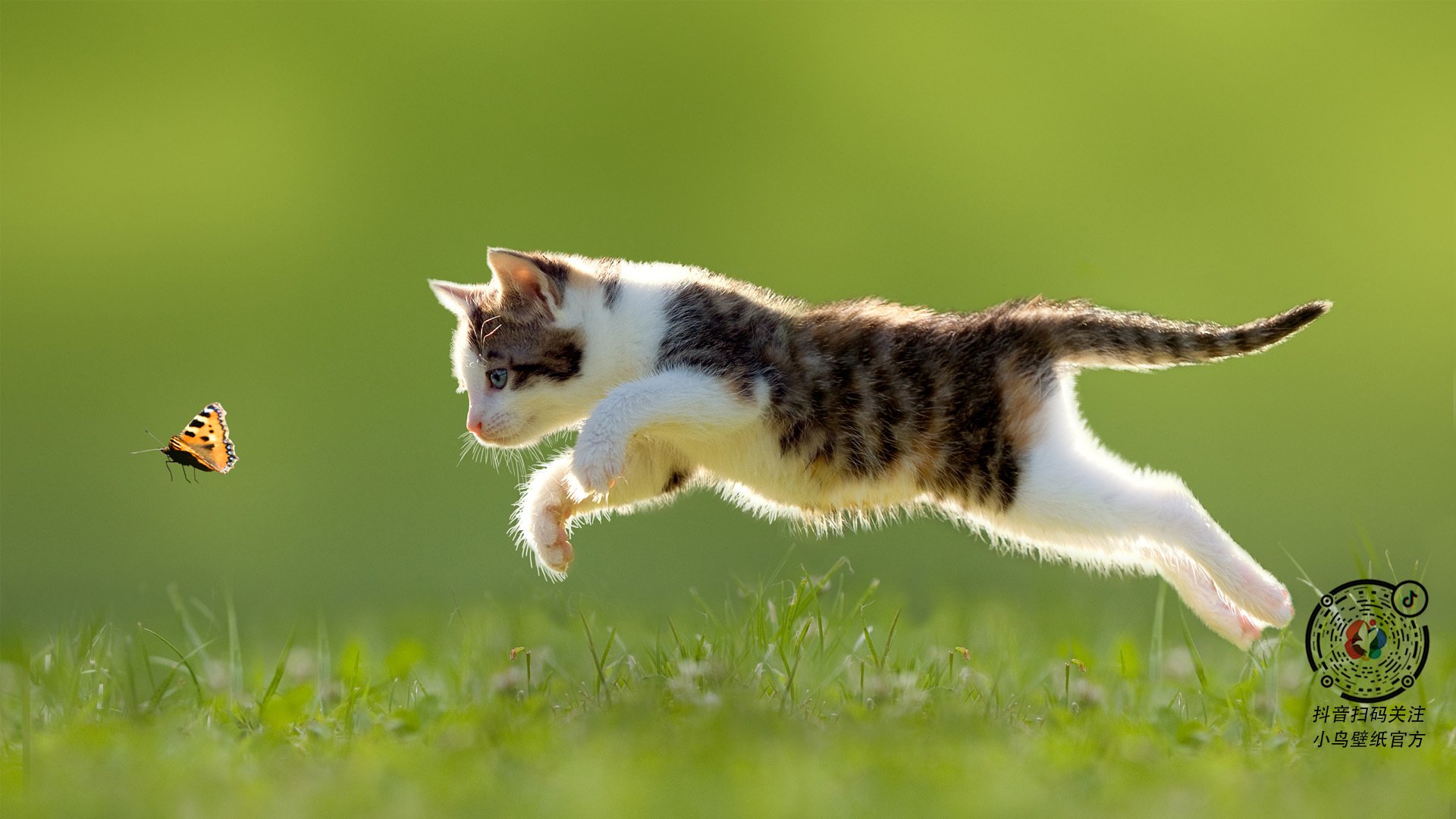 个人艺术与整体哲学的对决,萨拉赫的锋刃如何切割马赛的压制体系?