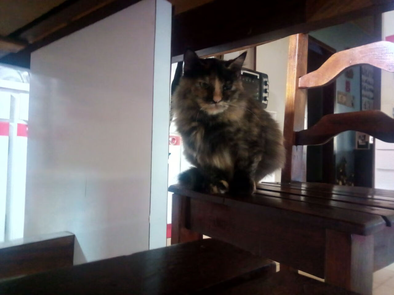 双重奏，莫德里奇用魔法诠释不朽，突尼斯以意志险写传奇