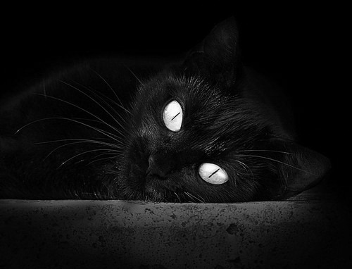 锻造与淬火,奥运周期关键战,山西队如何击败火箭为备战注入强心剂