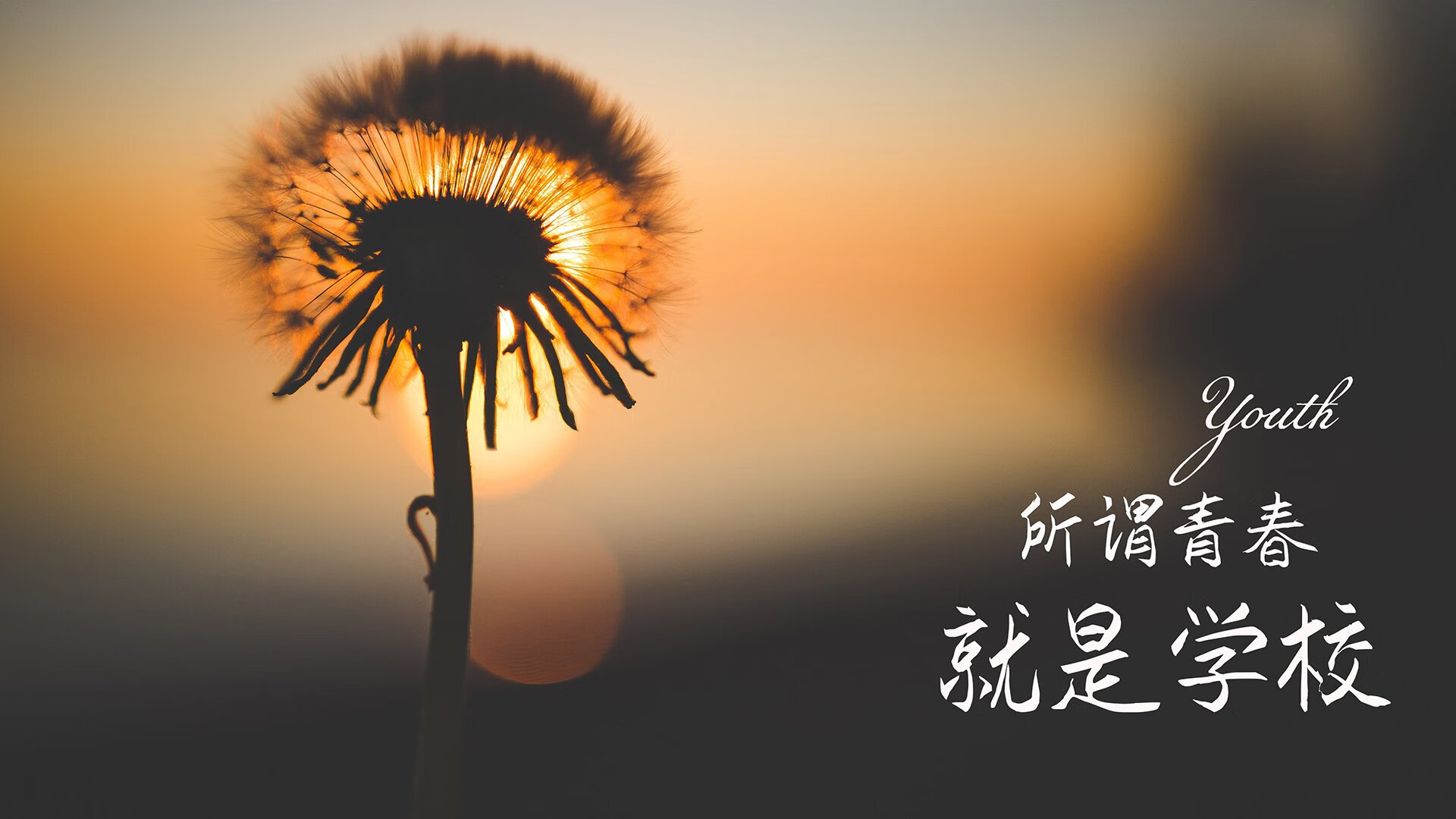 2026世界杯C组,穆西亚拉的关键一传,如何让匈牙利在德意志堡垒前溃不成军